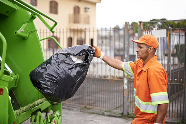 Best Carpet Removal and Disposal  in Pinch, WV